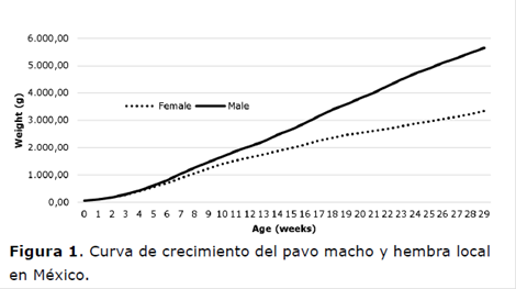 Descripción de la curva de crecimiento de pavos locales usando modelos no  lineales | Revista MVZ Córdoba