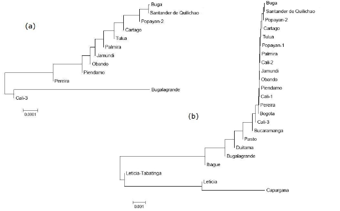 Coat Genetic Markers Of The Domestic Cat Felis Catus (Felidae) From ...