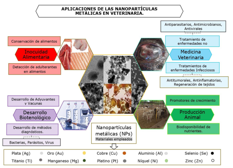 El aditivo antibacteriano y fungicida, para evitar y prevenir la